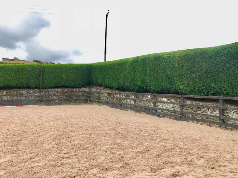 Hedge Work