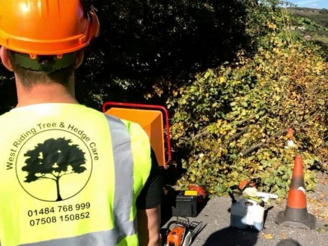 Tree Services